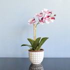 Arranjo Orquídea Artificial Tigre No Vaso Branco | Formosinha